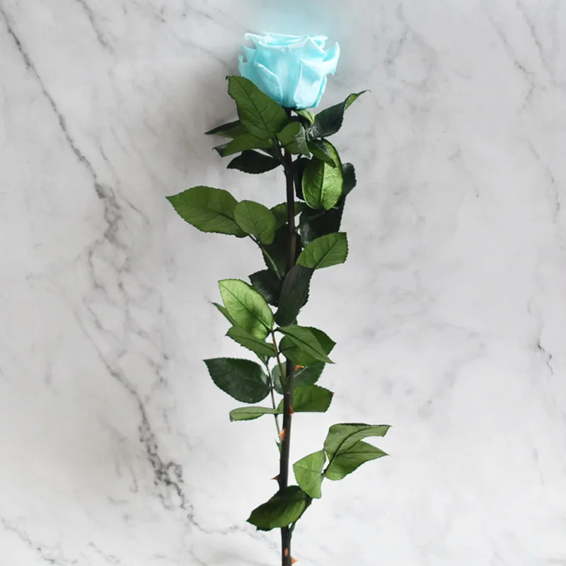4-5 см диаметр Сохраненная Роза Цветы Роза с 28 см стебель День матери DIY Свадьба вечная жизнь цветок материал подарок