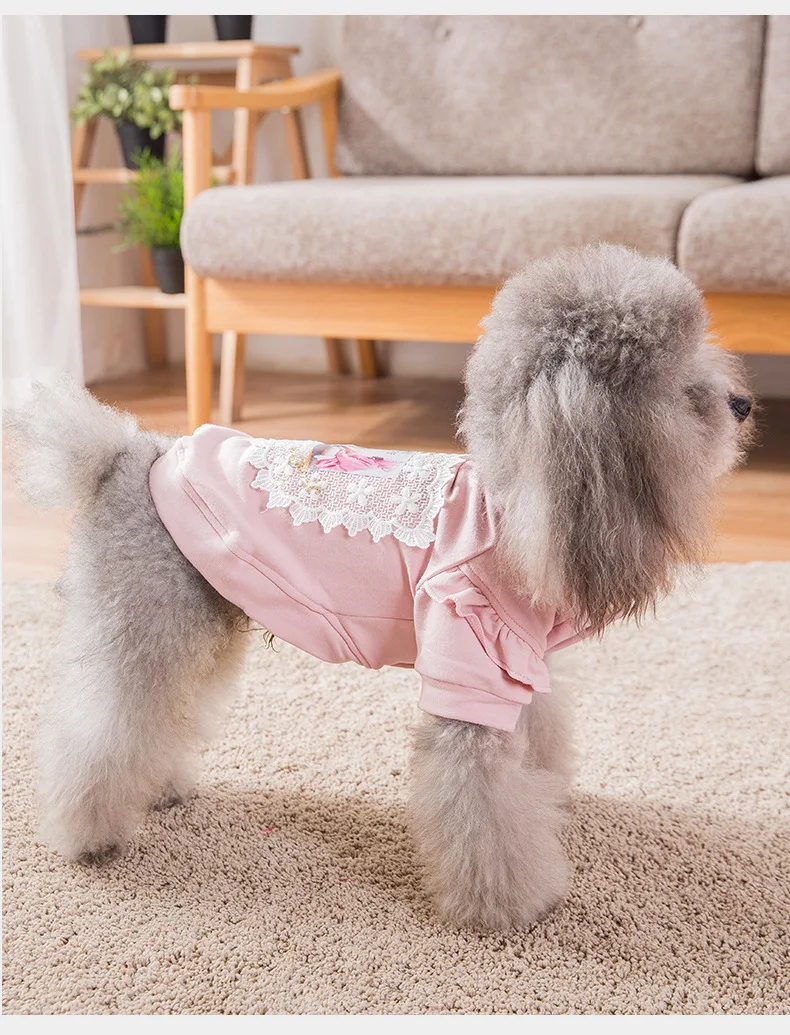 Spring and Autumn Leisure Styles Pet Dog Clothing Fashion Can Be Comfortable Breathable The Two Feet Garments Small Dog Clothing