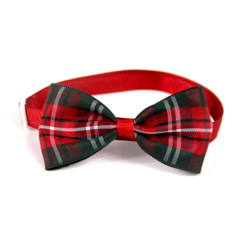 10626946922_1653323266