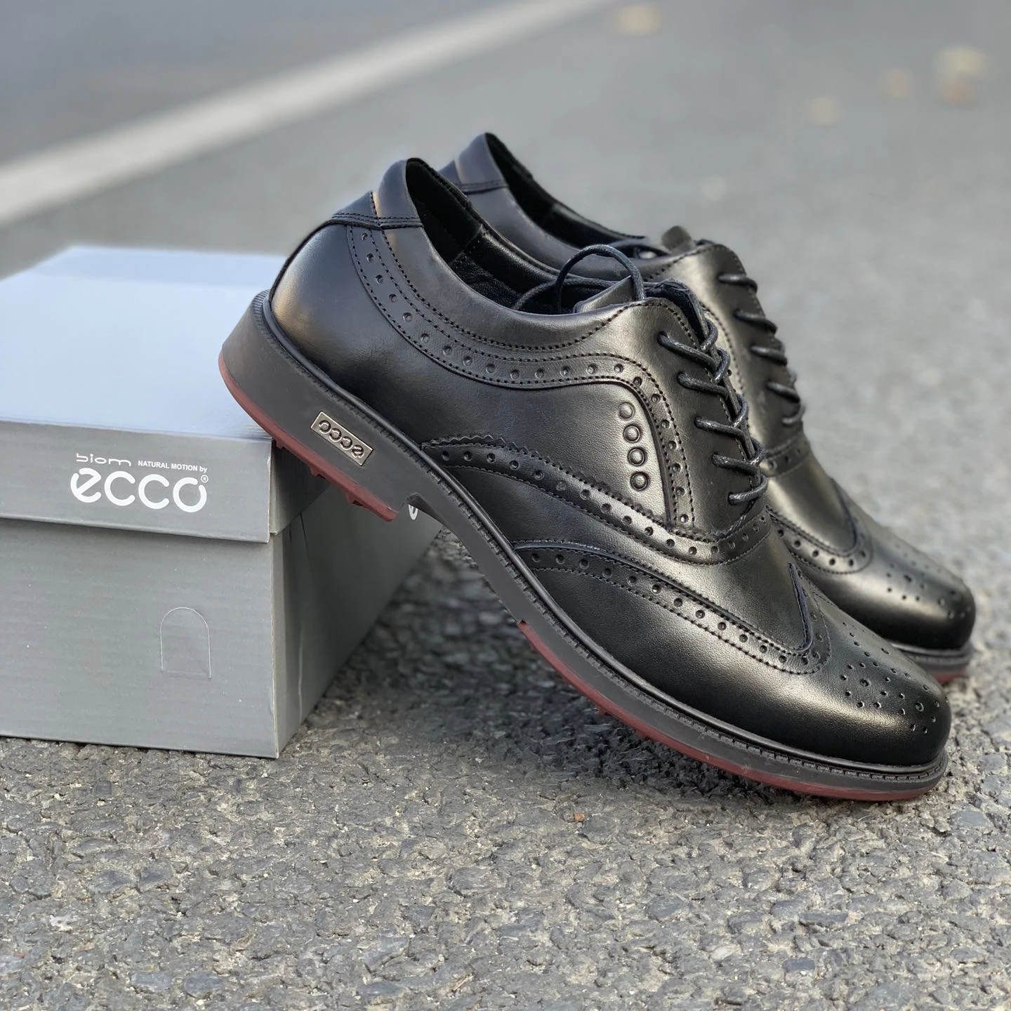 Professional Genuine Leather Golf Shoes Men High Quality Golf Sneakers Outdoor Jogging Walking Shoes Male Ati Slip Walking Wears
