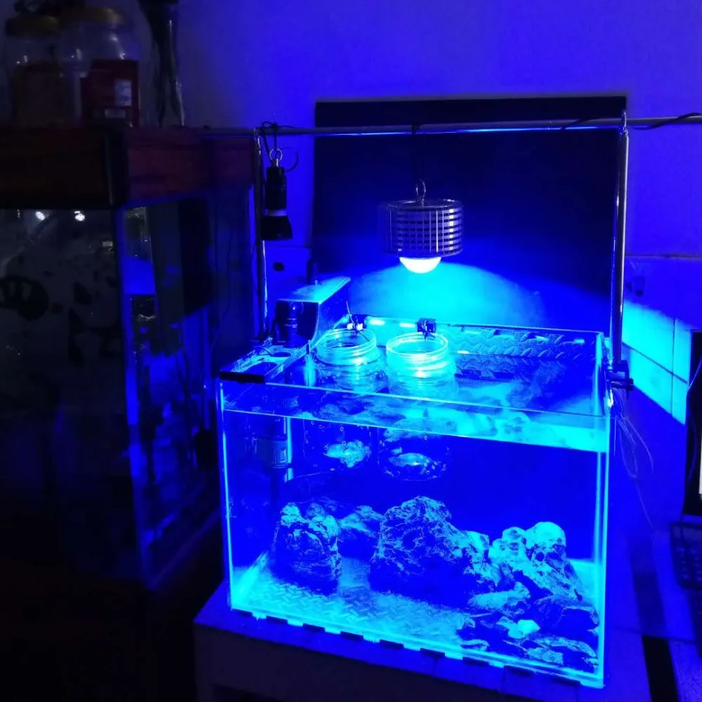 e80c24c0fe09ba50fe3c1b3c52cd511