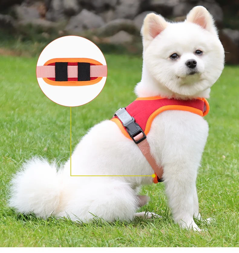 Adjustable Dog Harness Leash Set Easy Walking