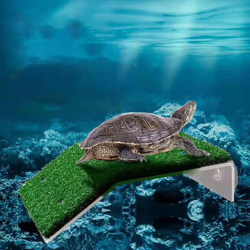 Turtle Basking Platform Aquarium Decor Acrylic Turtle Island Aquariums