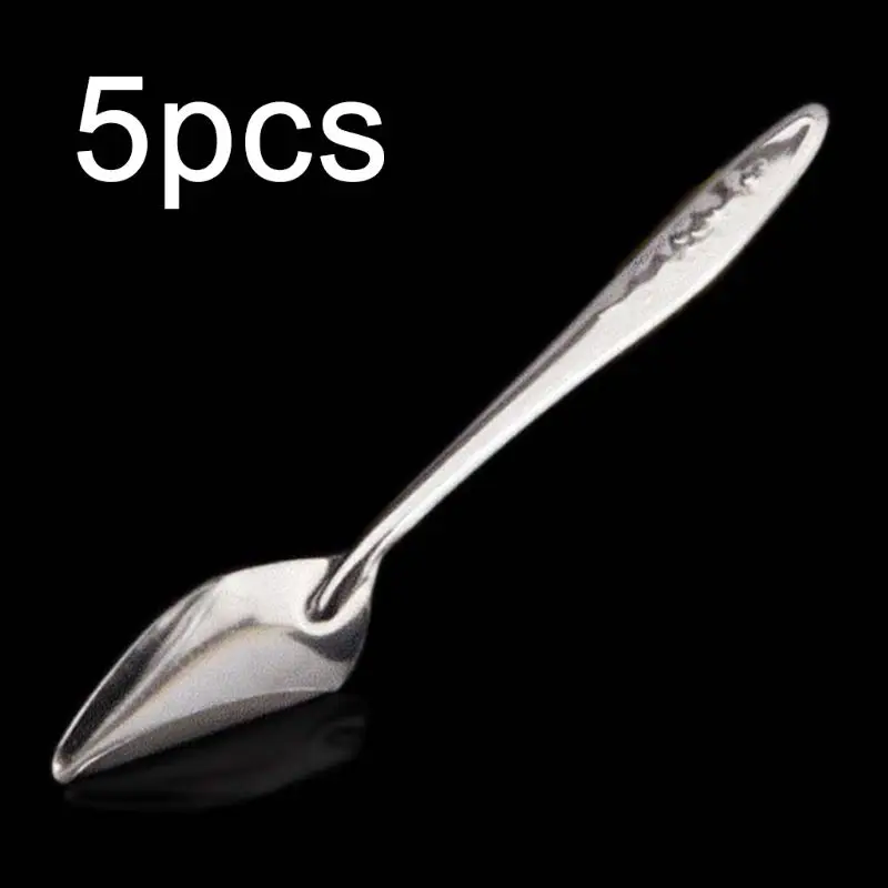 5 Pcs Baby Bird Pointed Feeding Spoon Stainless Steel Milk Medicine Parrot Feeder for All Baby Bird Peony Cockatiel
