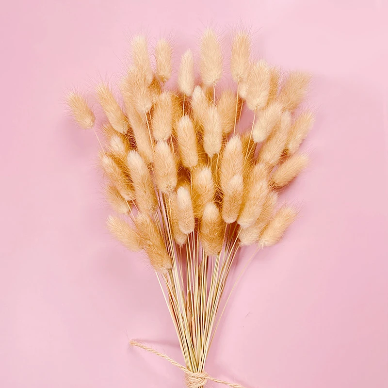 

30Pcs Rabbit Tail Grass Natural Dried Flowers Artificial Decoration Table Flower Arrangement Lagurus Ovatus Real Grass Bunch