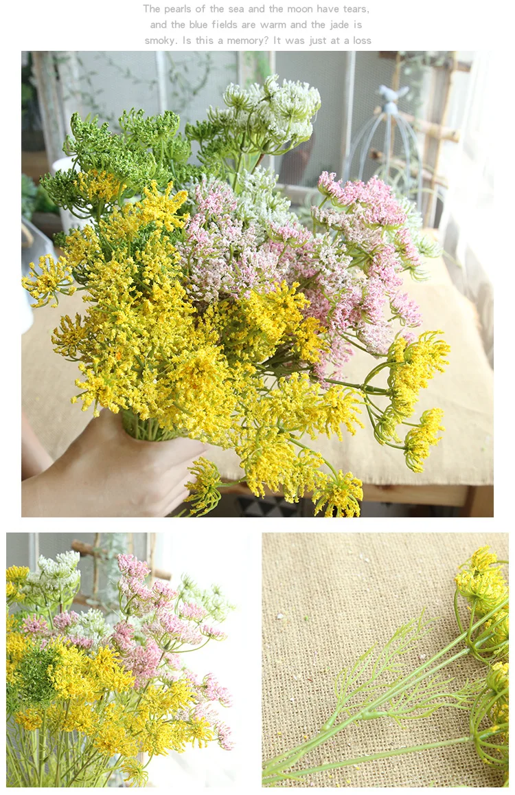 9015871666_1245478559