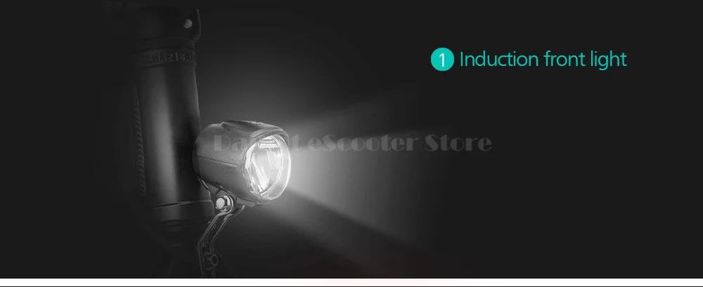 Fiido D1 Foldable Electric Scooter 2 Wheel Electric Bicycle 24V 250W Dual Brake System Portable Mini Folding Electric Bikes  (14)