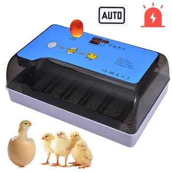 

Egg Incubator 9-35 Eggs Digital Fully Automatic Incubator Poultry Hatcher Machine for Chickens Ducks Goose Birds