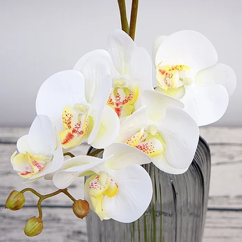 

Diy 3d Simulation Phalaenopsis Small 6 Flowers Artificial Flowershome Soft Plant Wall Decoration Handmade 1 6 Flowers A2 White