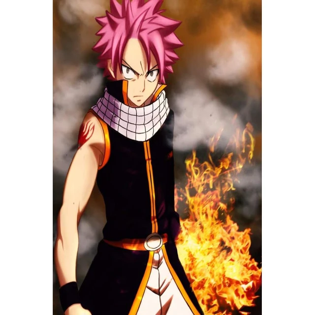 Natsu Dragneel Dragon Trained (Fairy Tail) Premium Art Print –  Collector's Outpost