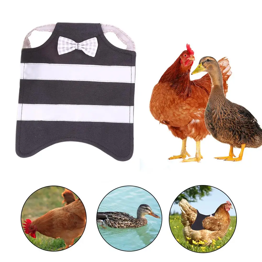 

Chicken Hen Apron Poultry Chicken Saddle Apron Feather Protector Back Protector Chicken Saddle Apron Jacket Reflective Hen Apron