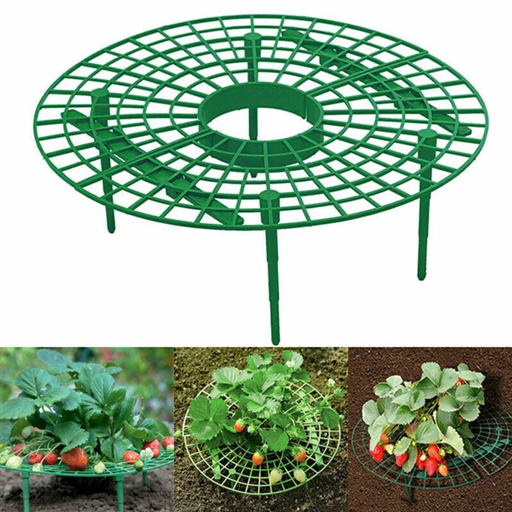 5pcs/10pcs Garden Strawberries Growing Circle Stand Support Rack Plant Farming Improve Frame Removable Gardening | - Цена: 