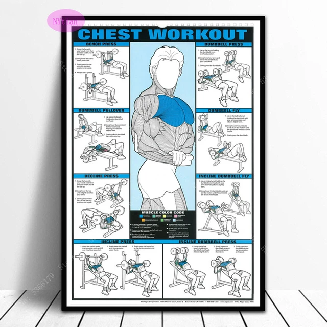 Home Chest Workout Chart
