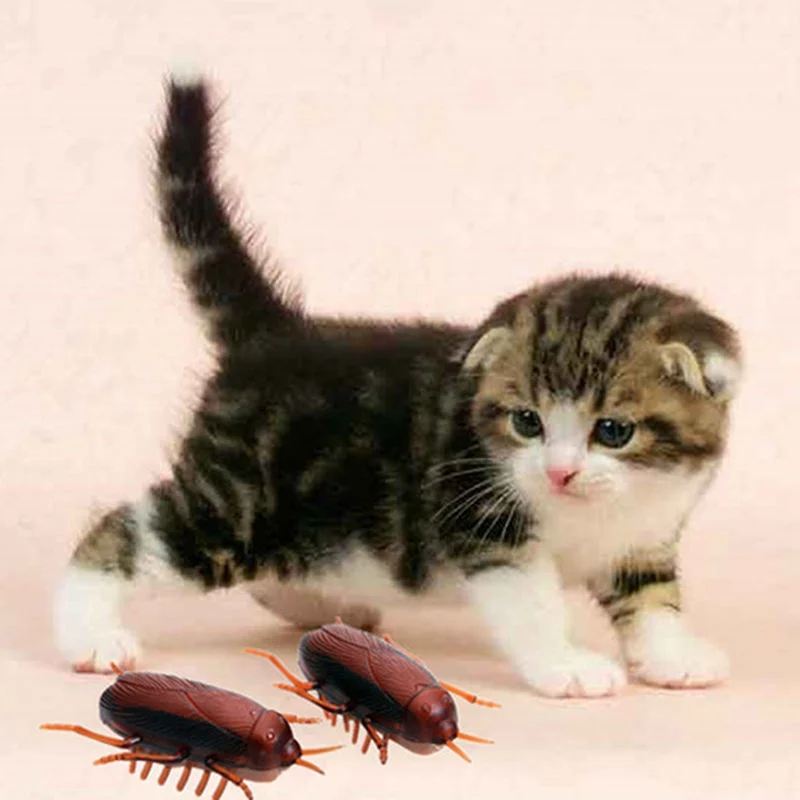 Интересные подделки тараканов домашних животных кошка собака интерактивное обучение, игры игрушки