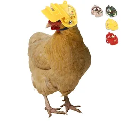 Casque pour animaux de compagnie, amusant, Protection de la tête, Compact, pour poules, canards, oiseaux 