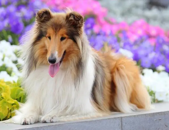 360截图20200520115312803