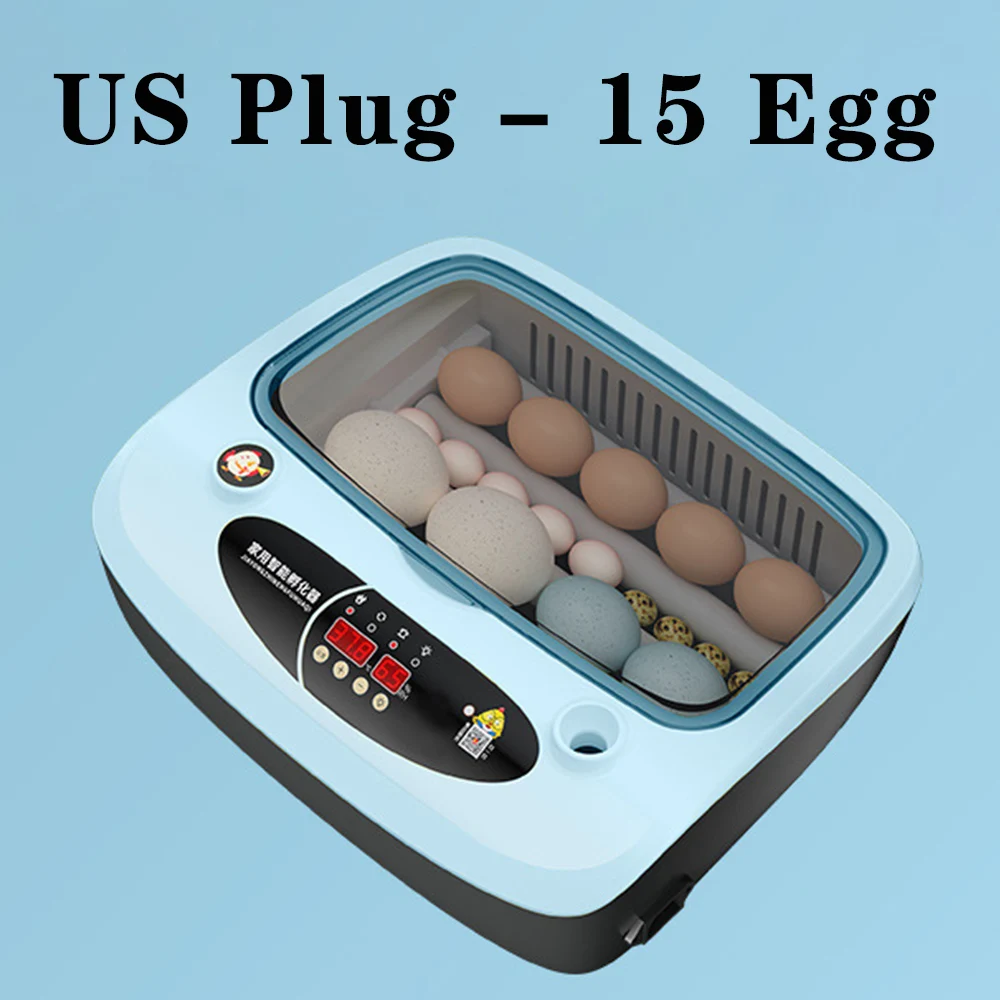 US Plug -15 Eggs
