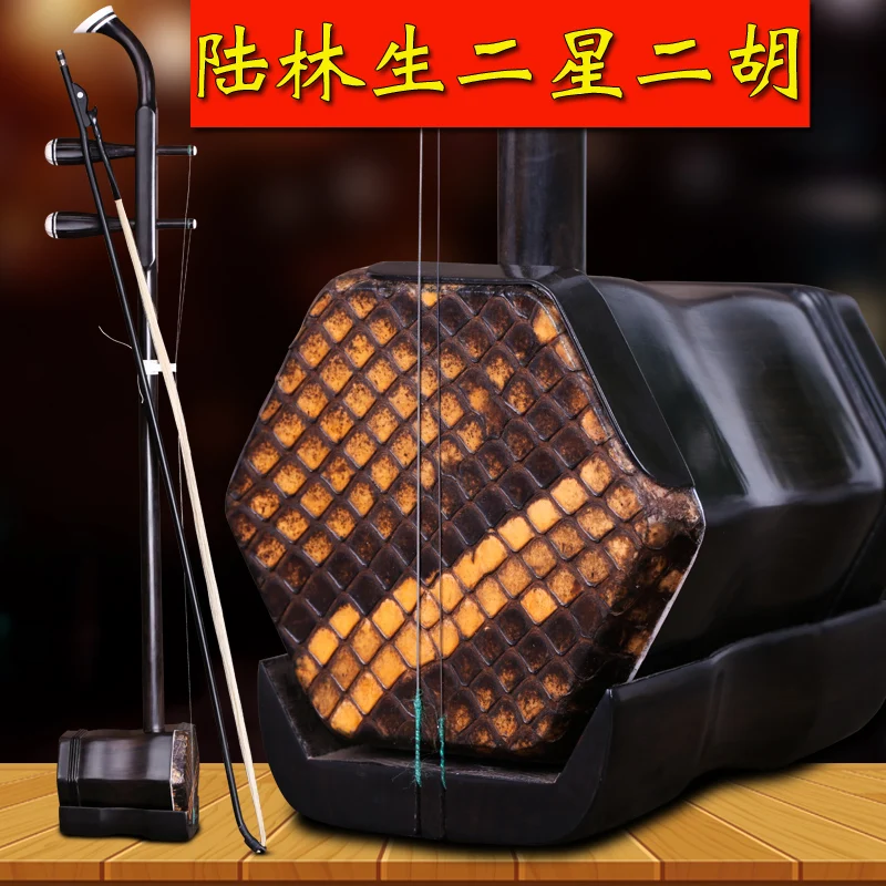 中国のプロの楽器,2つの星,ひも,ケース付き - AliExpress