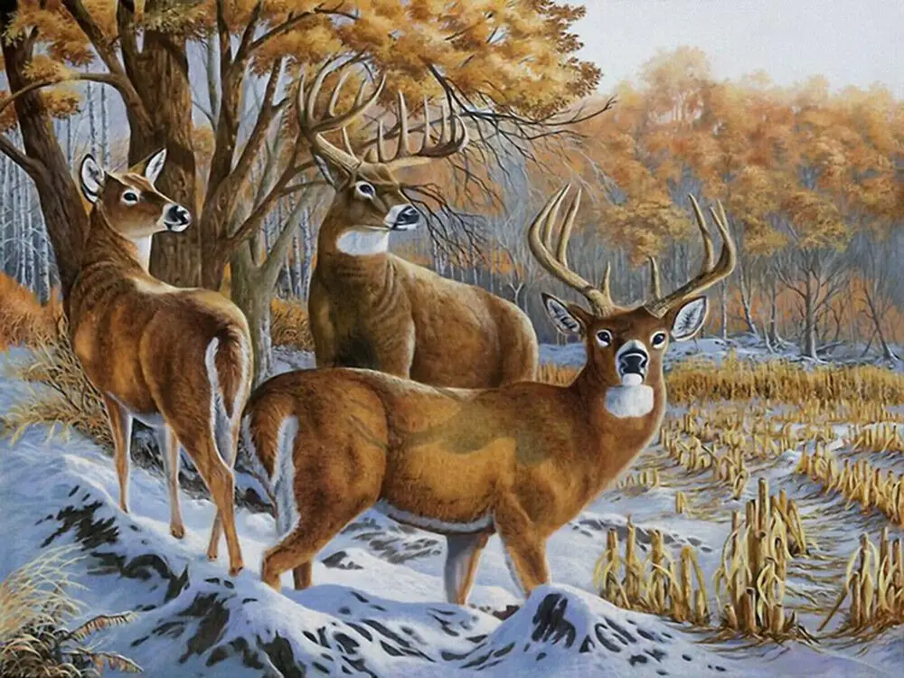 Deer Animal Needlework Cross Stitch Sets Aida 14ct Unprinted Embroidery