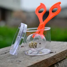 1 Набор, новые детские школьные растения, насекомые, биология, учебный набор инструментов, пластиковые Ножничные пинцеты для зажима, милые игрушки для изучения природы для детей