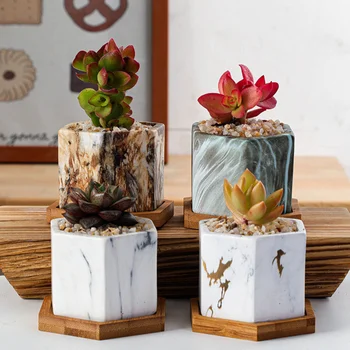 

4Pcs Ceramic Succulents Pots Exquisite Unique Ceramic Flower Basins Household Ceramic Flowerpots