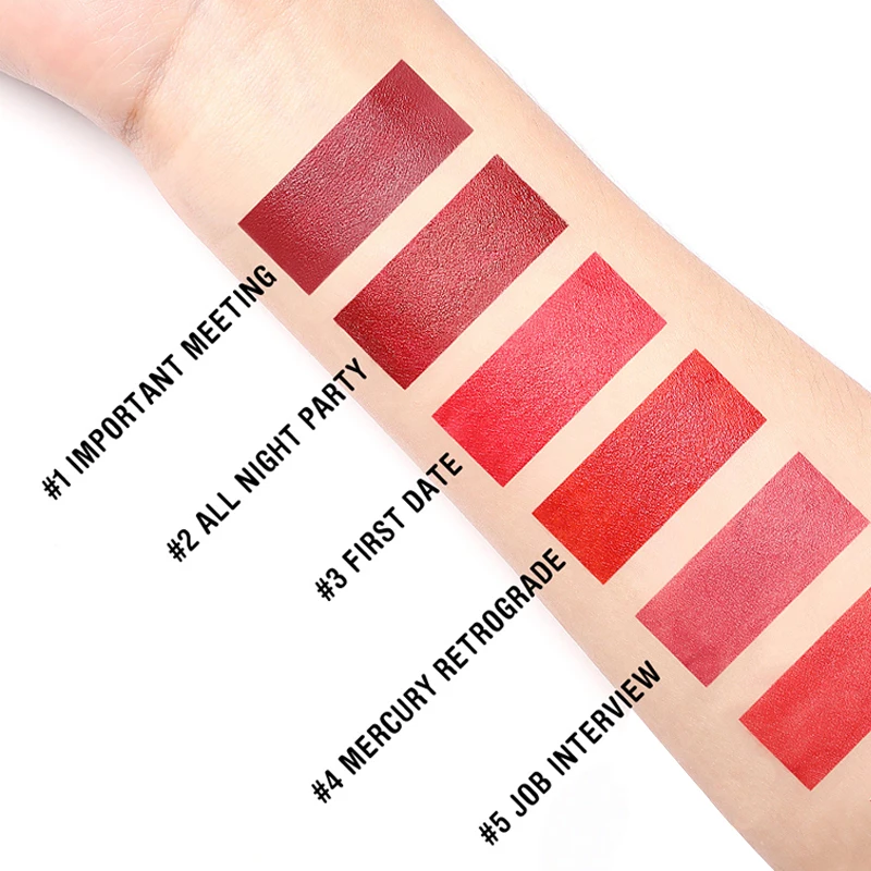 FOCALLURE Brand New Matte Lipstick Waterproof Eed Brown Velvet Natural Long Lasting Lipstick set Women Lips Makeup Maquiagem FOCALLURE Brand New Matte Lipstick Waterproof Eed Brown Velvet Natural Long Lasting Lipstick set Women Lips Makeup Maquiagem
