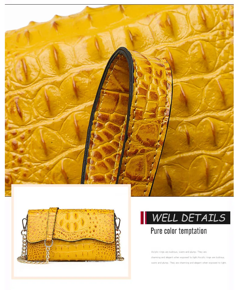 Black Leather Vintage Crocodile Luxury Handbags Women Bags Designer Chain Messenger Bag Female Small Red PU Crossbody Clutch Bag (5)
