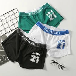 Men's underwear men's baggy aro pants pure cotton flat angle underpants summer comfortable large sports trend Boxer Shorts