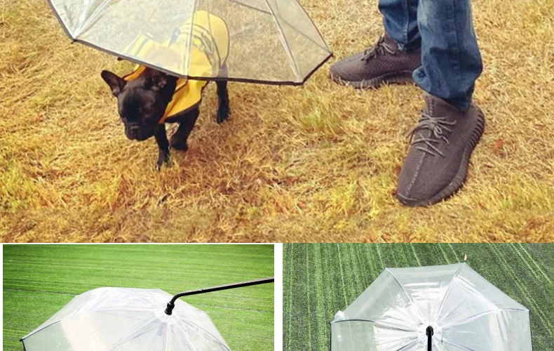 Dog Walking Umbrella