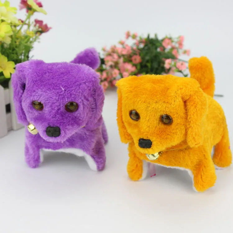 2099224857_1651787607