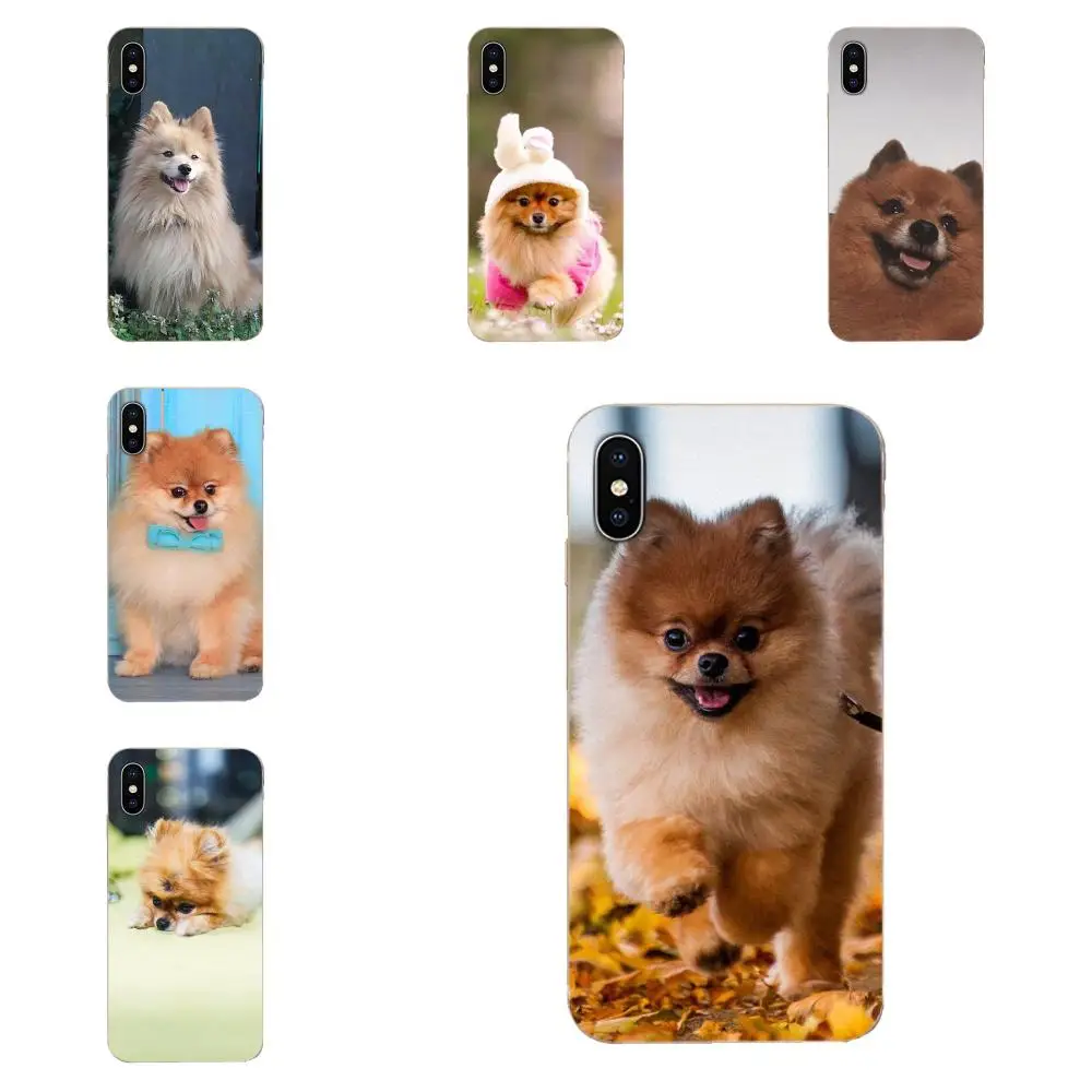 For HTC Desire 530 626 628 630 816 820 830 One A9 M7 M8 M9 M10 E9 U11 U12 Life Plus Soft Mobile Phone Pomeranian Dogs Dog Cute | Мобильные