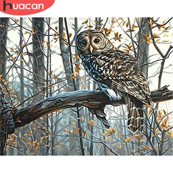

HUACAN Oil Painting By Number Owl DIY Pictures By Numbers Animal Kits Drawing On Canvas Hand Painted Paintings Gift Home Decor