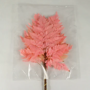 

Preserved Foliages Plant DIY Dry Plants for Dried Preserved Fern Leaf