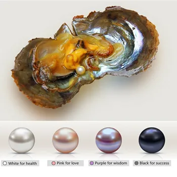 

Vacuum-Packed 6-7mm Round Akoya Pearls In Oyster White Pink Lavender Black Saltwater Pearl Jewelry Making