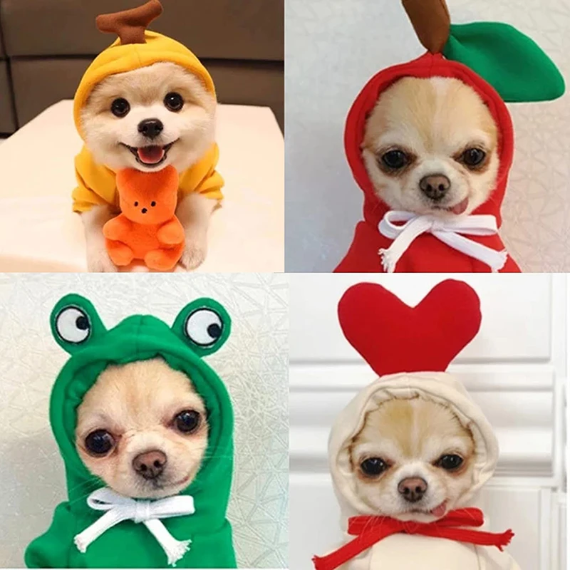  Funny Dog Hoodie, Dog Sweater Cute Apple Banana Frog Shape  Warm Jacket for Pet Fashion Cold Weather Wear Outfit Outerwear for Small  Medium Dogs Cats Green S : Pet Supplies