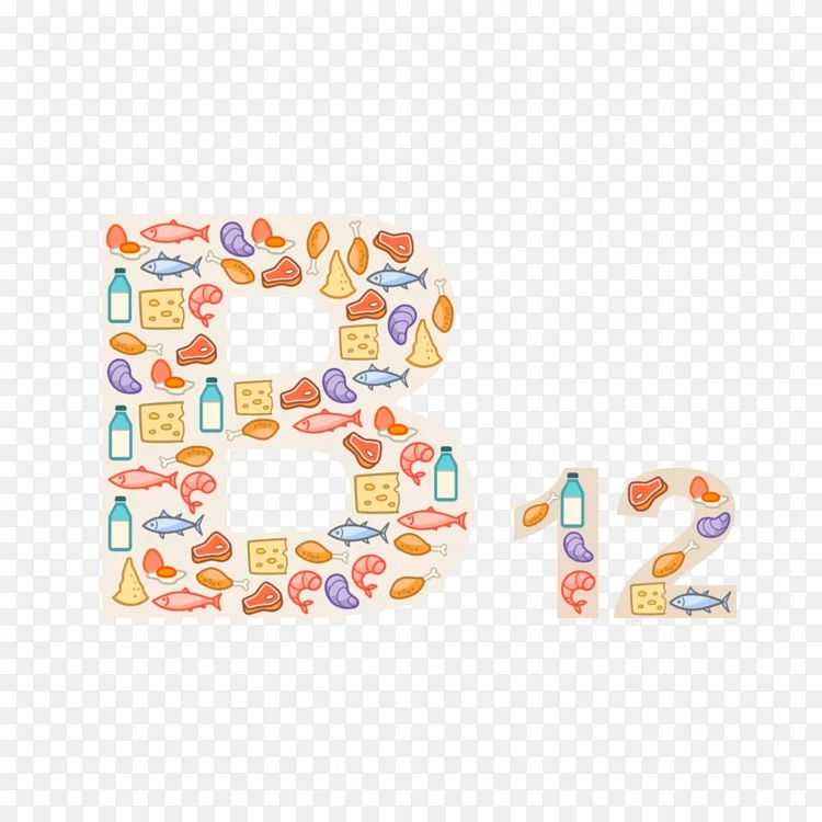 维生素b 12维生素b1 2缺乏营养膳食补充剂 肝脏png图片素材免费下载 图片编号 Png素材网 维生素b 12维生素b1 2缺乏营养膳食补充剂 肝脏png图片素材免费下载 图片编号 Png素材网