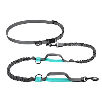 

Light Pet Supplies Cute Traction Rope Nylon Handle Small Pet Pulling Rope Reflective Tape for Dog Running Outdoor
