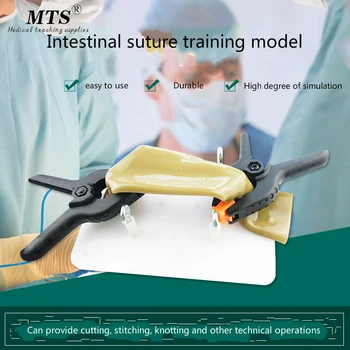 Intestinal Suture Training Model Intestinal Suture Model Bracket Clip Laparoscopic Surgery Training Medical Practice Aids advanced vacuum delivery simulator midwifery training model accouchement model