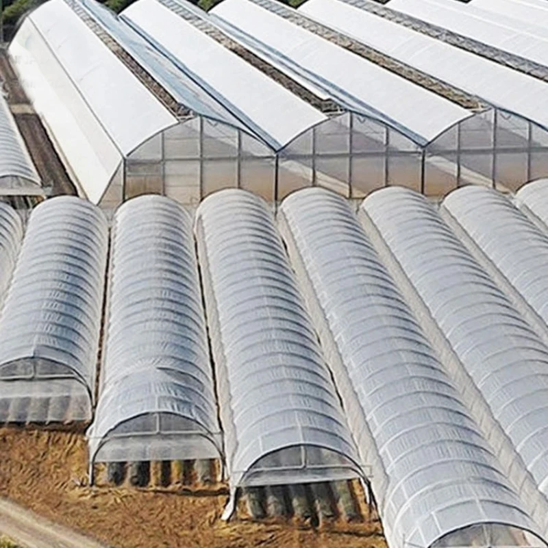 Greenhouse Plastic tube steel frame greenhouse structure gi steel pipe 8M*30M