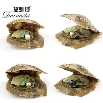 

Saltwater Pearl Oyster, 4 PCS Love Wish Saltwater Akoya Pearl Oyster 6-7mm Pearl Inside for Jewelry Making or Birthday Gifts