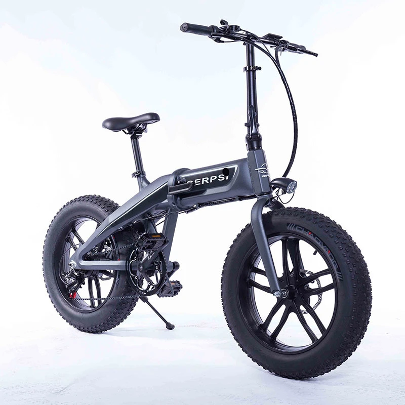 electric fat bike 2019