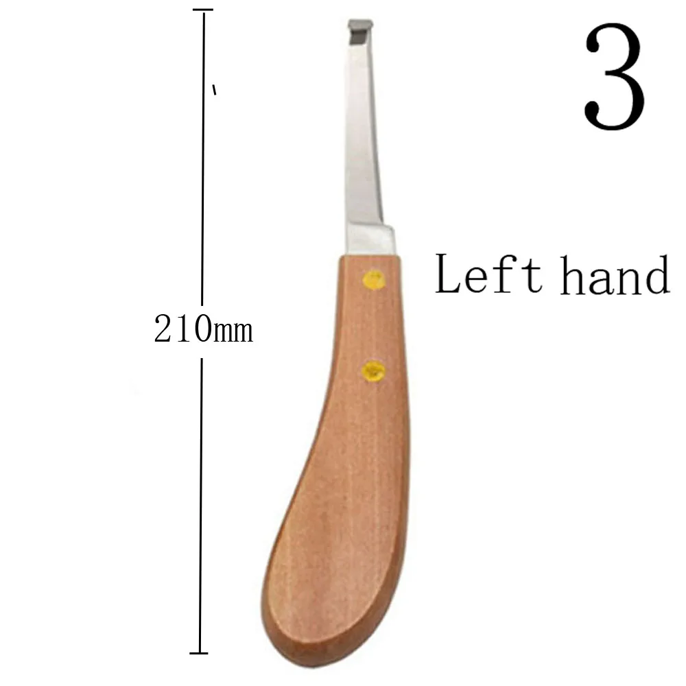 DSC_3660 - 副本 - 副本 (2)