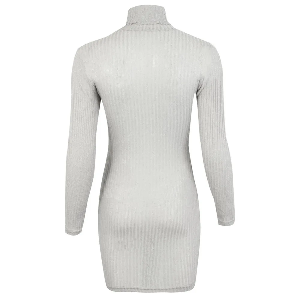 Jaycosin Fashion Womens Casual Long Sleeve Jumper Turtleneck Sweaters Dress Elegant Lovely Chic Comfy Jumper Top Blouse