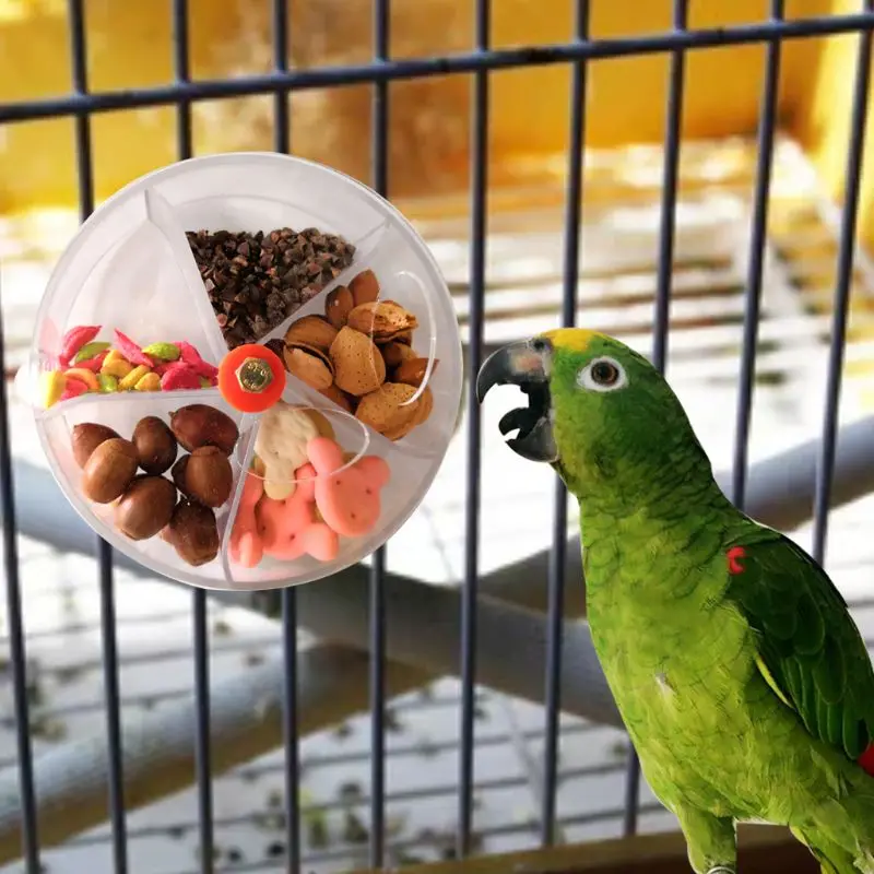 Игрушки для кормления попугая устройство для птичьего клюва игрушечные шестеренки в форме вращающихся птиц головоломка для кормления коробка