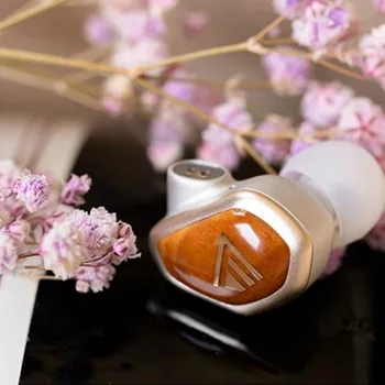 

FOCUS 1DD Dynamic Driver In-Ear Earphone HIFI Earbuds In Ear Monitor Headphones Earbuds ZS10 ZSN PRO BL-05 BL-03 V90