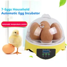 Domowy Mini inkubator do jaj 7 jaj automatyczny inkubator do jaj inkubator do kontroli temperatury jaj kurzych tanie i dobre opinie Z tworzywa sztucznego Egg Incubator kura