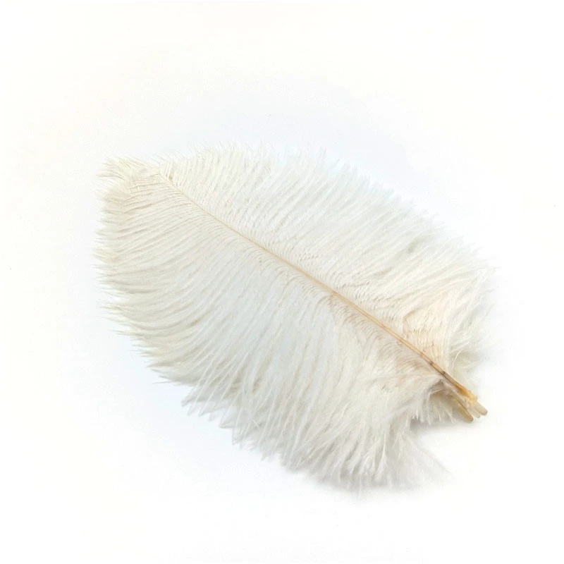 White feathers