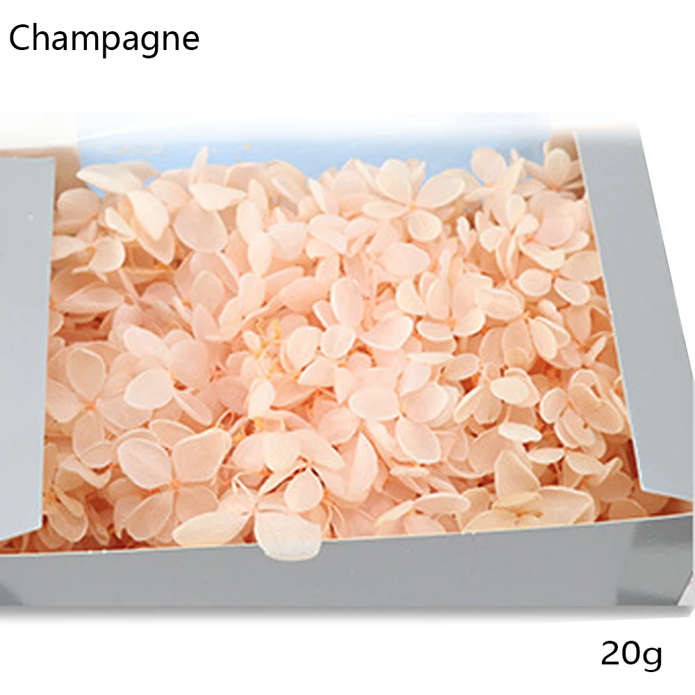 Champagne 20 г/лот, искусственный цветок, шелковая Гортензия, сушеные цветы, украшение на голову, для свадебной вечеринки, сделай сам, жизнь, цветы, венок, День Святого Валентина, подарочная коробка - Цвет: Champagne