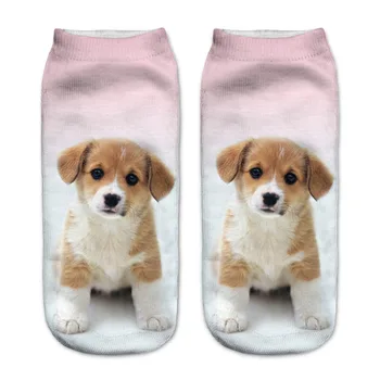 

PLOFR-9 fashion men new stlye normal cotton socks