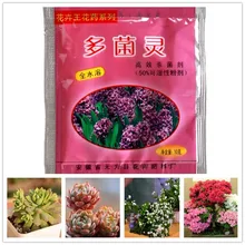 1 pcs Carbendazim Bulbs bonsai Plants Rooting Growth Sterilization Pesticides Fungicides Insecticides Pharmacy Fertilizer Home